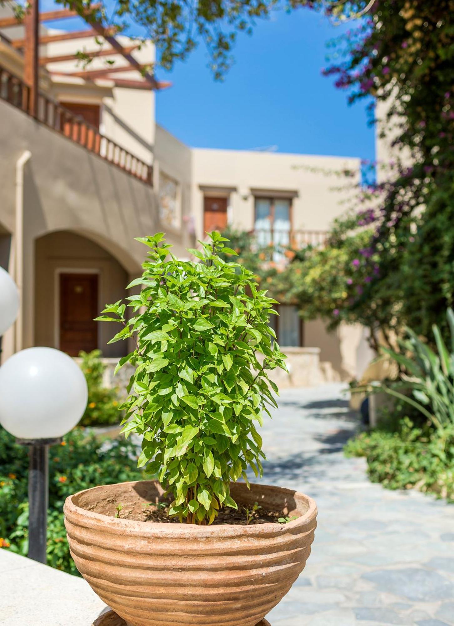 Indigo Mare Aparthotel Chania  Luaran gambar